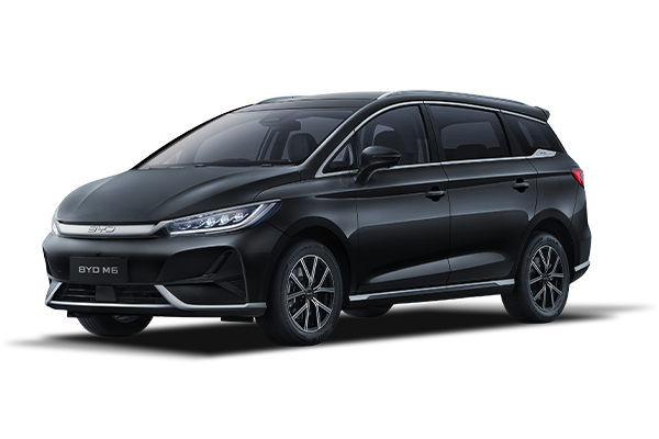 BYD M6